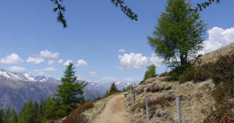 Schenna – Zurück nach Südtirol