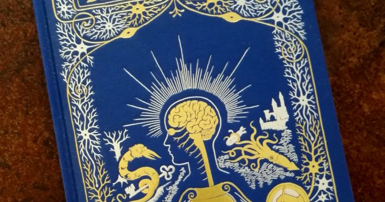 Ein wunderschönes Hardcover. Matteo Farinella/Hana Ros, Das Gehirn, Antje Kunstmann Verlag 2018.