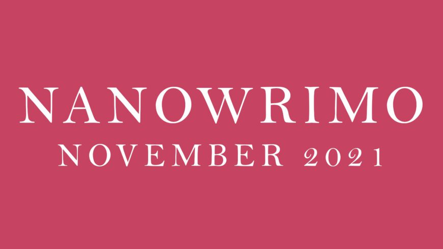 Ich habe den Nanowrimo gewonnen