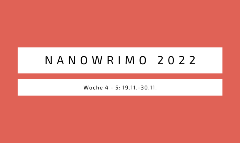 Blogmas Tag 3: Nanowrimo letzter Check-In 2022