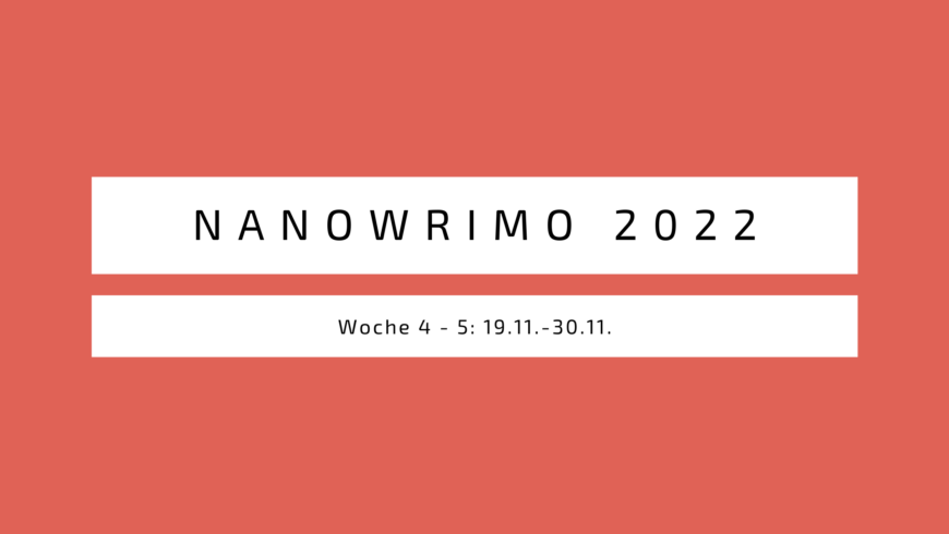 Blogmas Tag 3: Nanowrimo letzter Check-In 2022