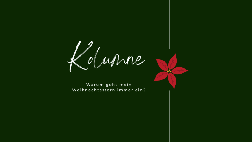 Blogmas Tag 11: Warum geht mein Weihnachtsstern immer ein?